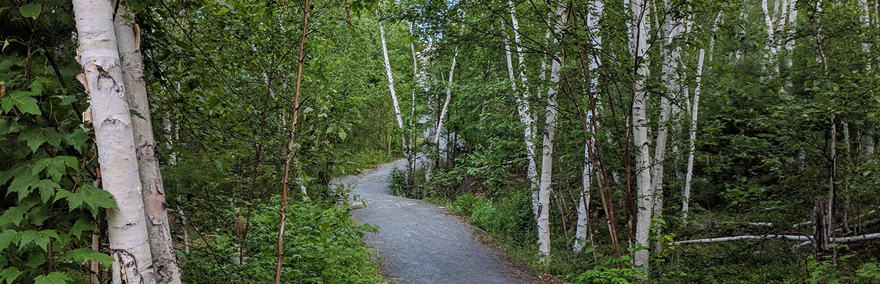 Image of Northern Ontario outdoors