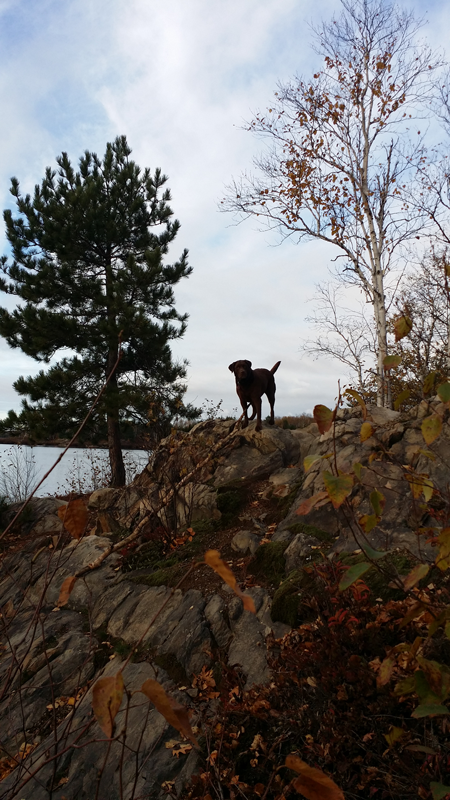 Image of Northern Ontario outdoors