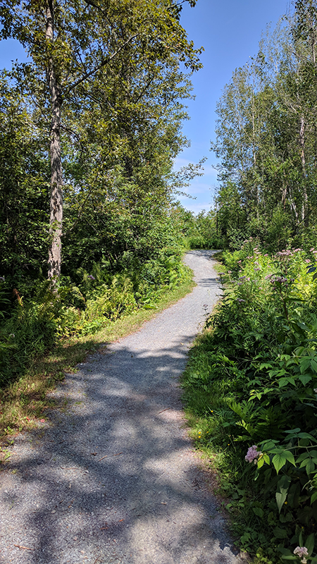 Image of Northern Ontario outdoors