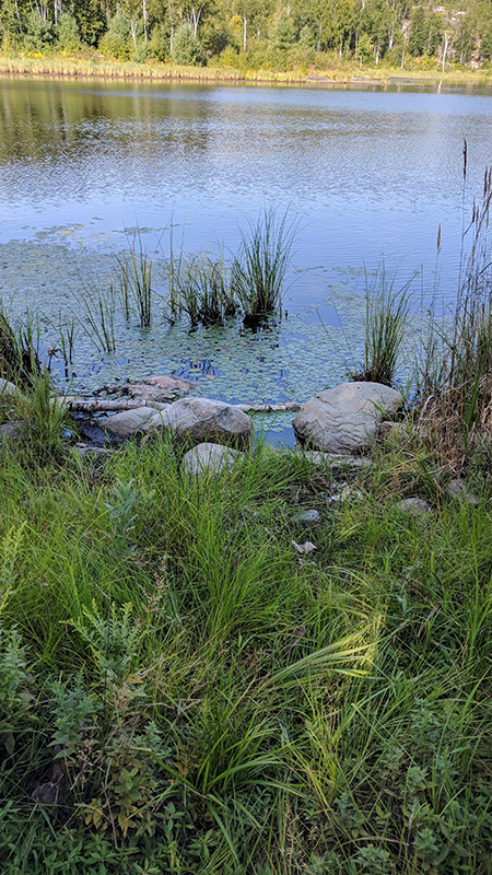 Image of Northern Ontario outdoors