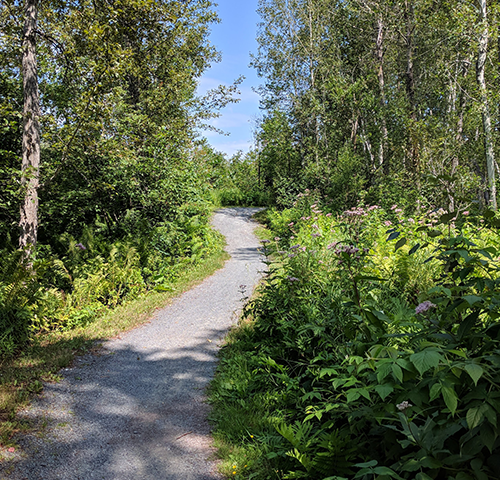 Image of Northern Ontario outdoors