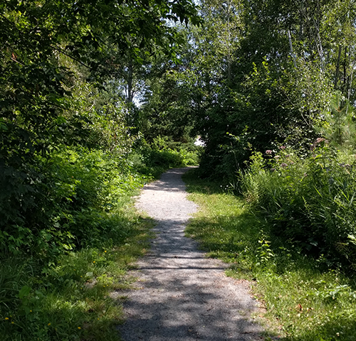 Image of Northern Ontario outdoors