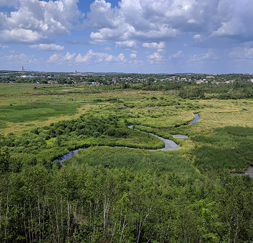 Image of Northern Ontario outdoors