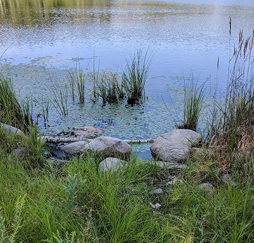 Image of Northern Ontario outdoors