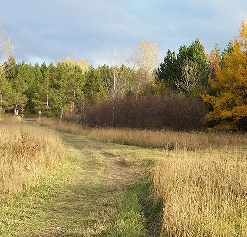 Image of Northern Ontario outdoors