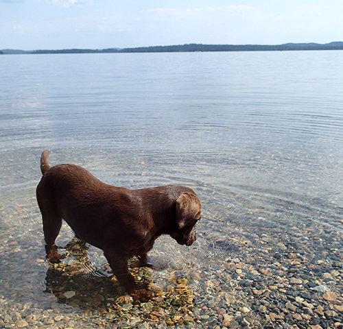 Image of Northern Ontario outdoors